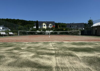 TennisplatzArbeitseinsatz_8